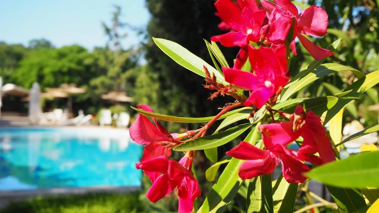 Joya Park Hotel Golden Sands